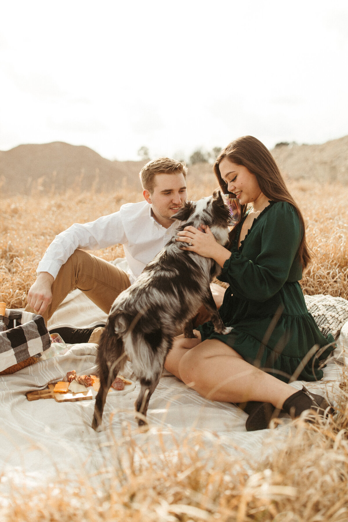 A couple is enjoying a charcuterie board during a picnic on a blanket in a field while their dog greets them.