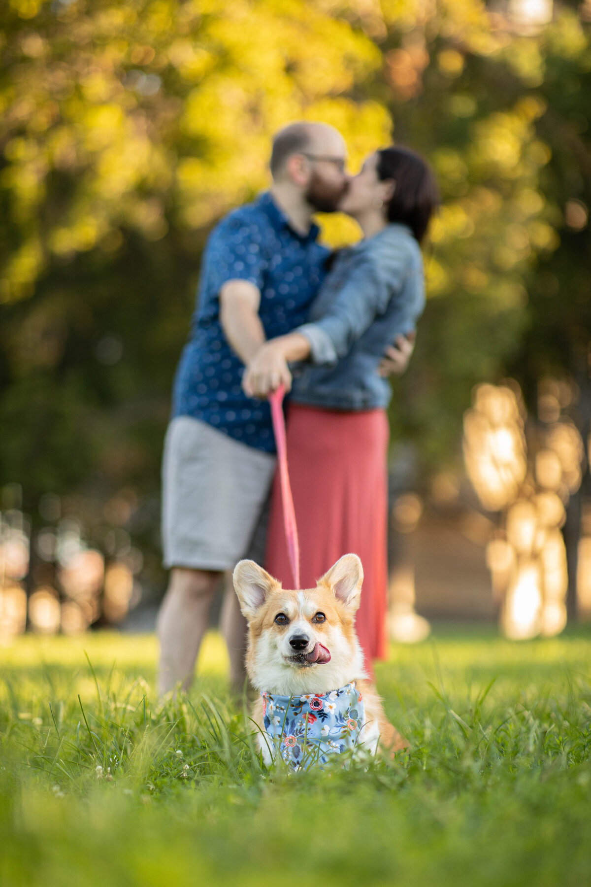 A small dog standing in the grass with the owners kissing behind them.