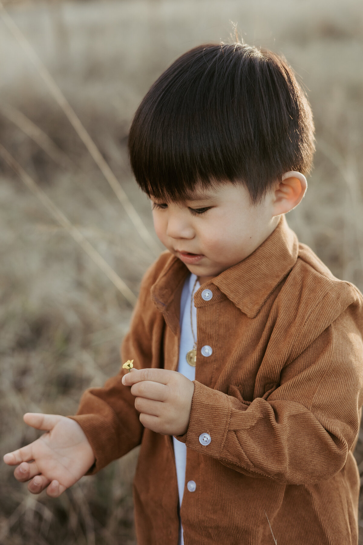 Little by in a a brown cord shirt holding a little yellow flower that his picked during his family photoshoot.