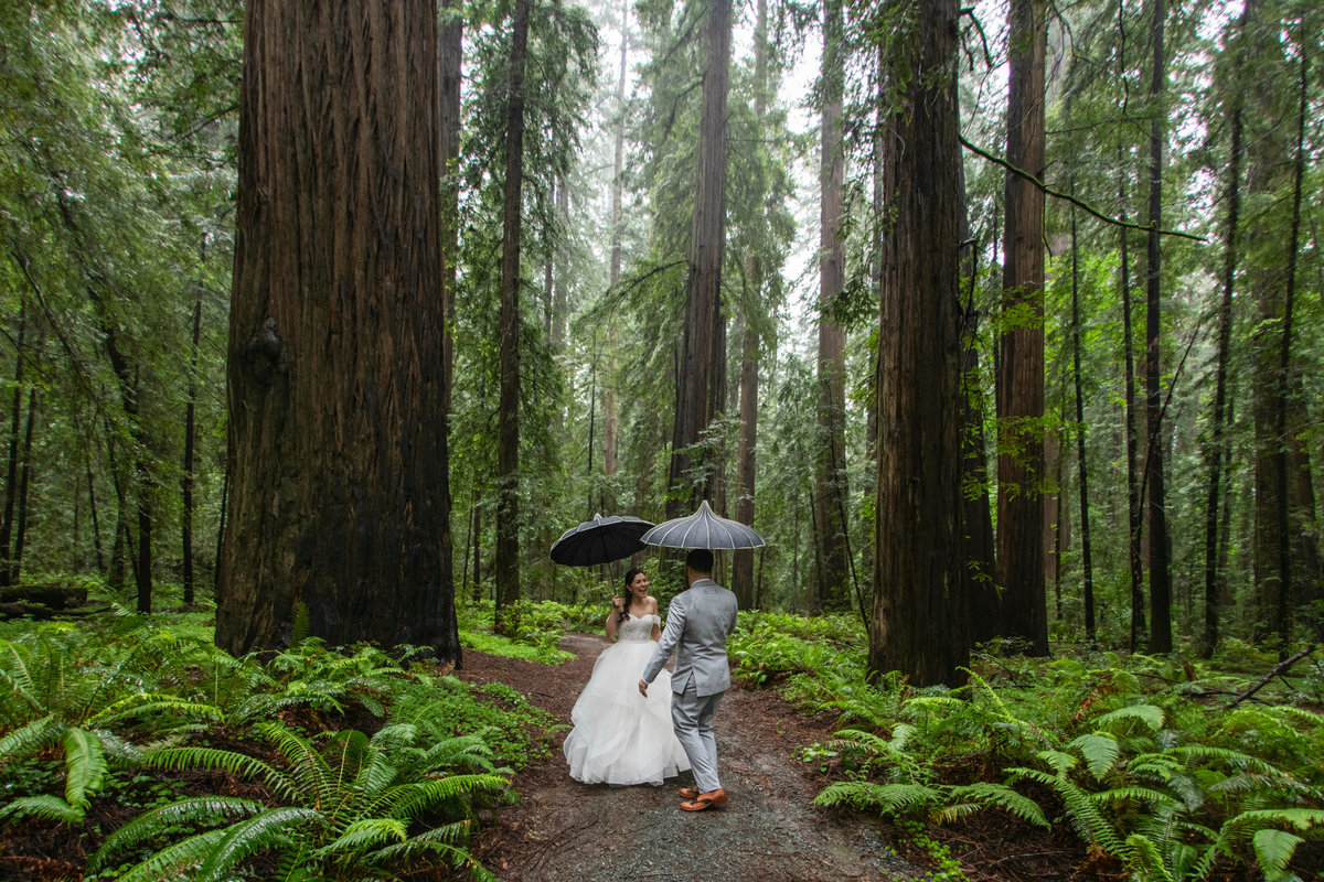 Redway-California-wedding-photographer-Parky's-Pics-Photography-Humboldt-County-Photographer-Avenue-of-the-Giants-First-look-in-the-redwoods-wedding-1.jpg