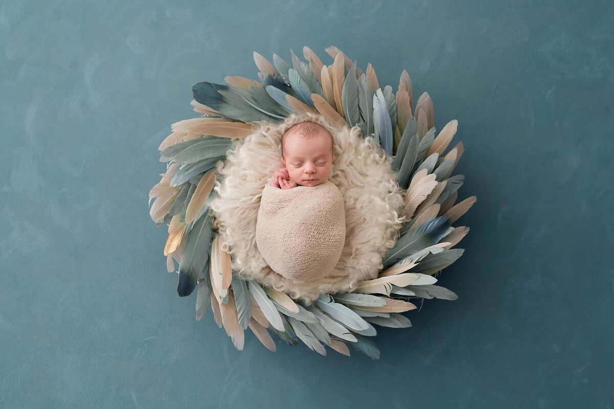 Creative newborn photography in blue and beige feather background