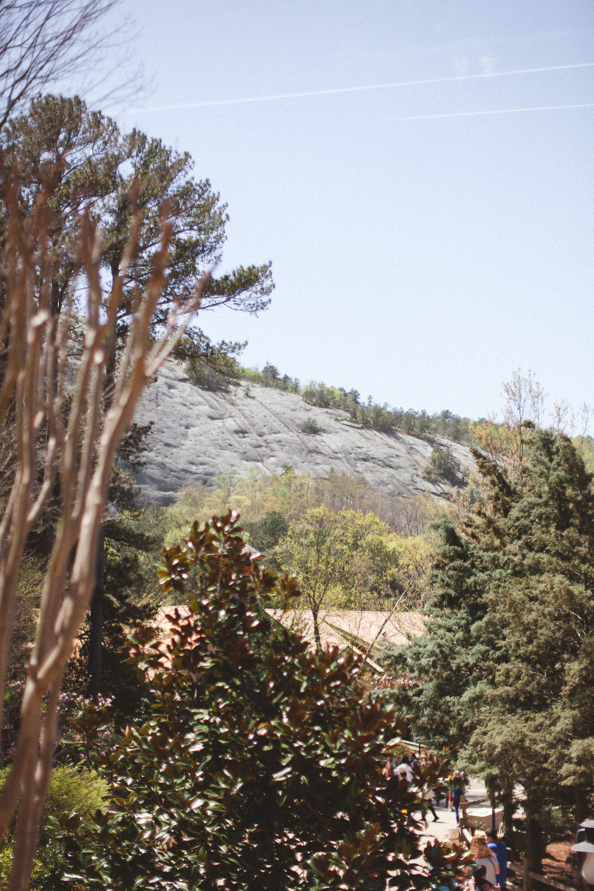 Stone Mountain Georgia - DiBlasio Photo-9207