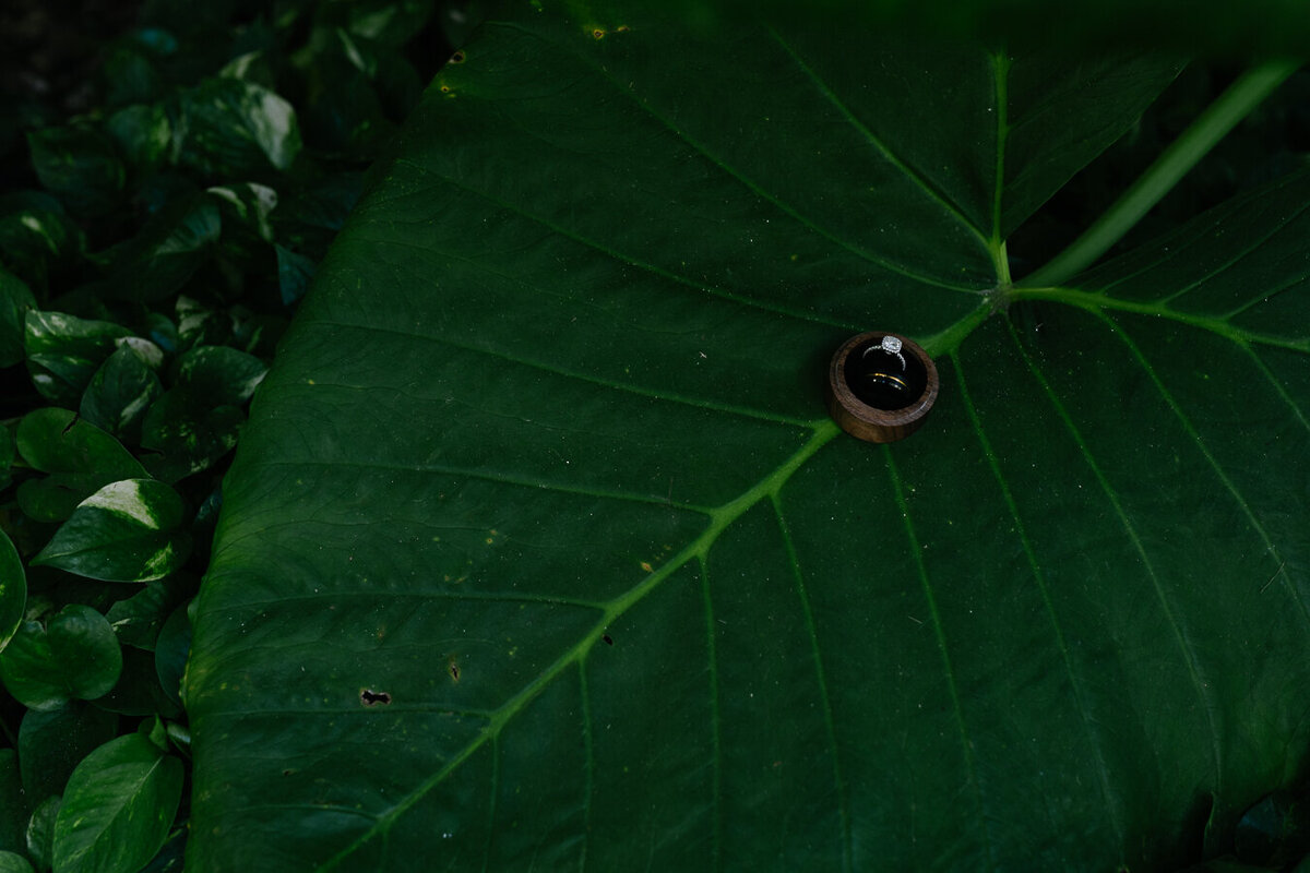 mexico-wedding-sunset