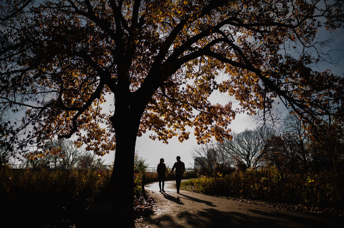 A couple is silhouetted while walking under a fall tree in Lincoln Park