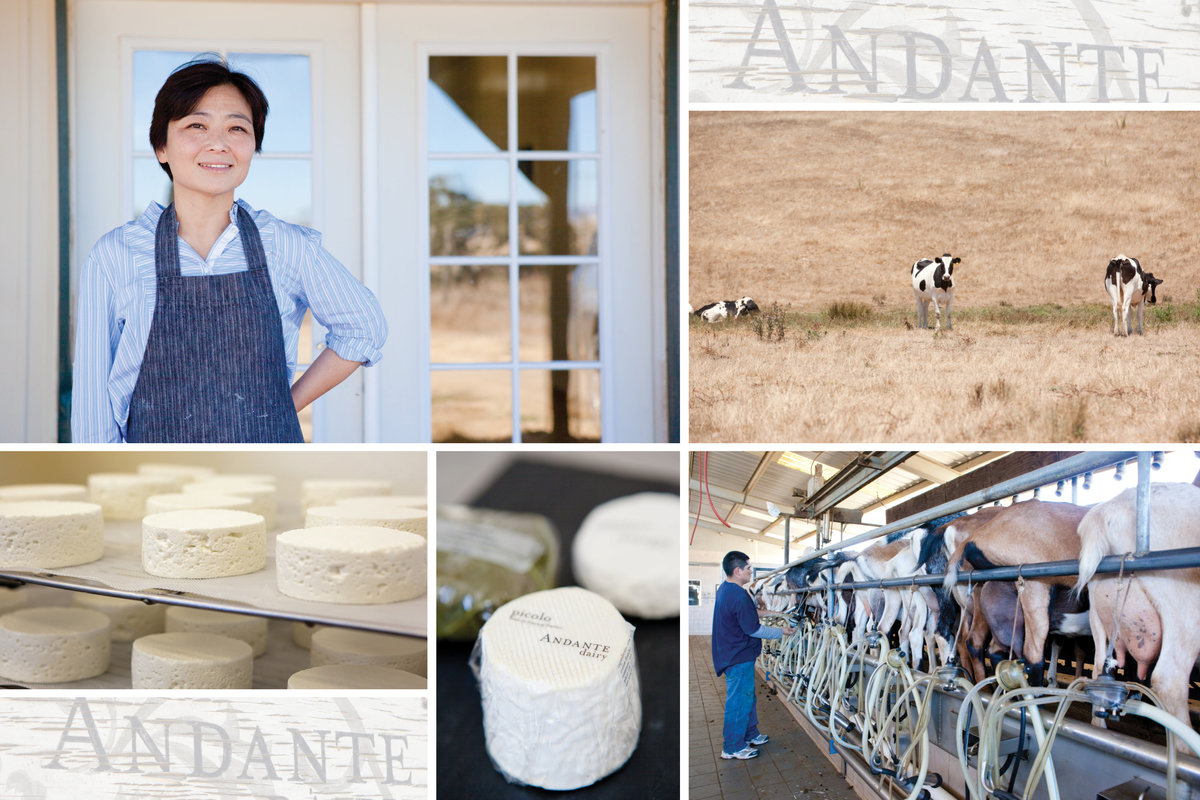 20120809-Editorial-Commercial-Magazine-Andante-Dairy-Petaluma