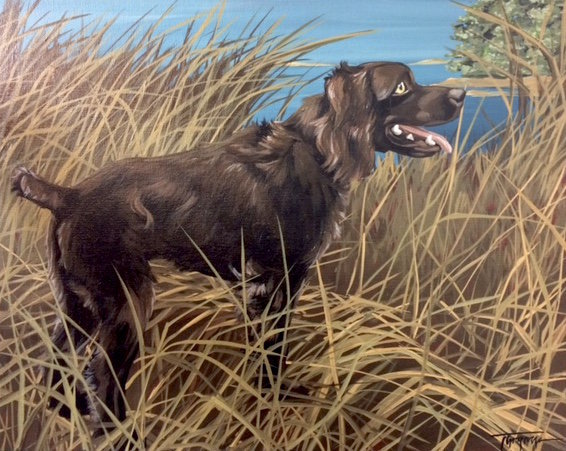 custom pet portrait boykin hunting dog