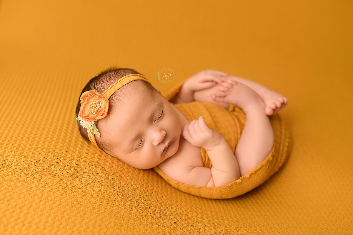 newborn photography ohio