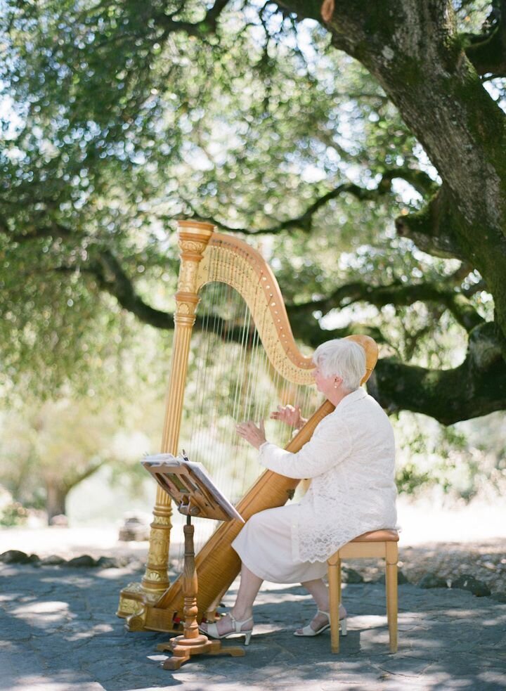 Anderson Ranch Harpist at Wedding Ceremony