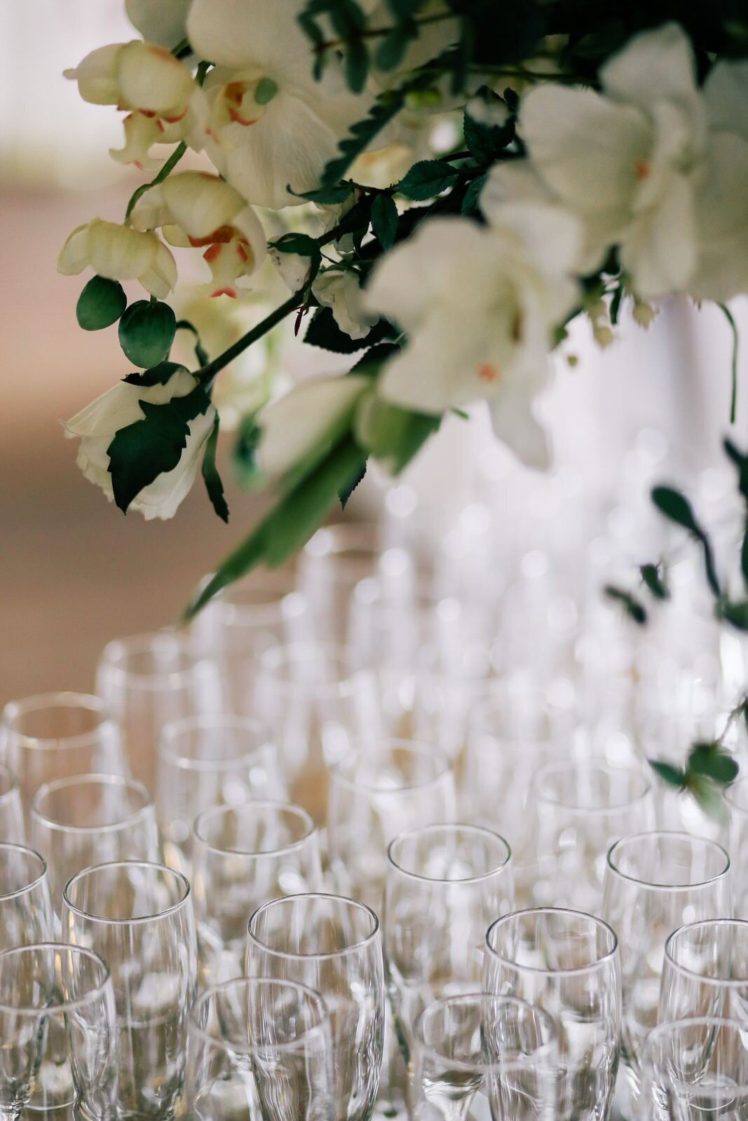 photos-by-lanty-yMY1QE5wpyA-unsplash
