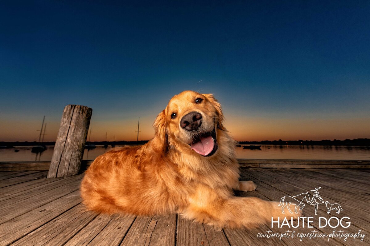 Golden Retriever dog laying on a wooden dock at White Rock Lake at sunset, with a big and happy smile on its face.