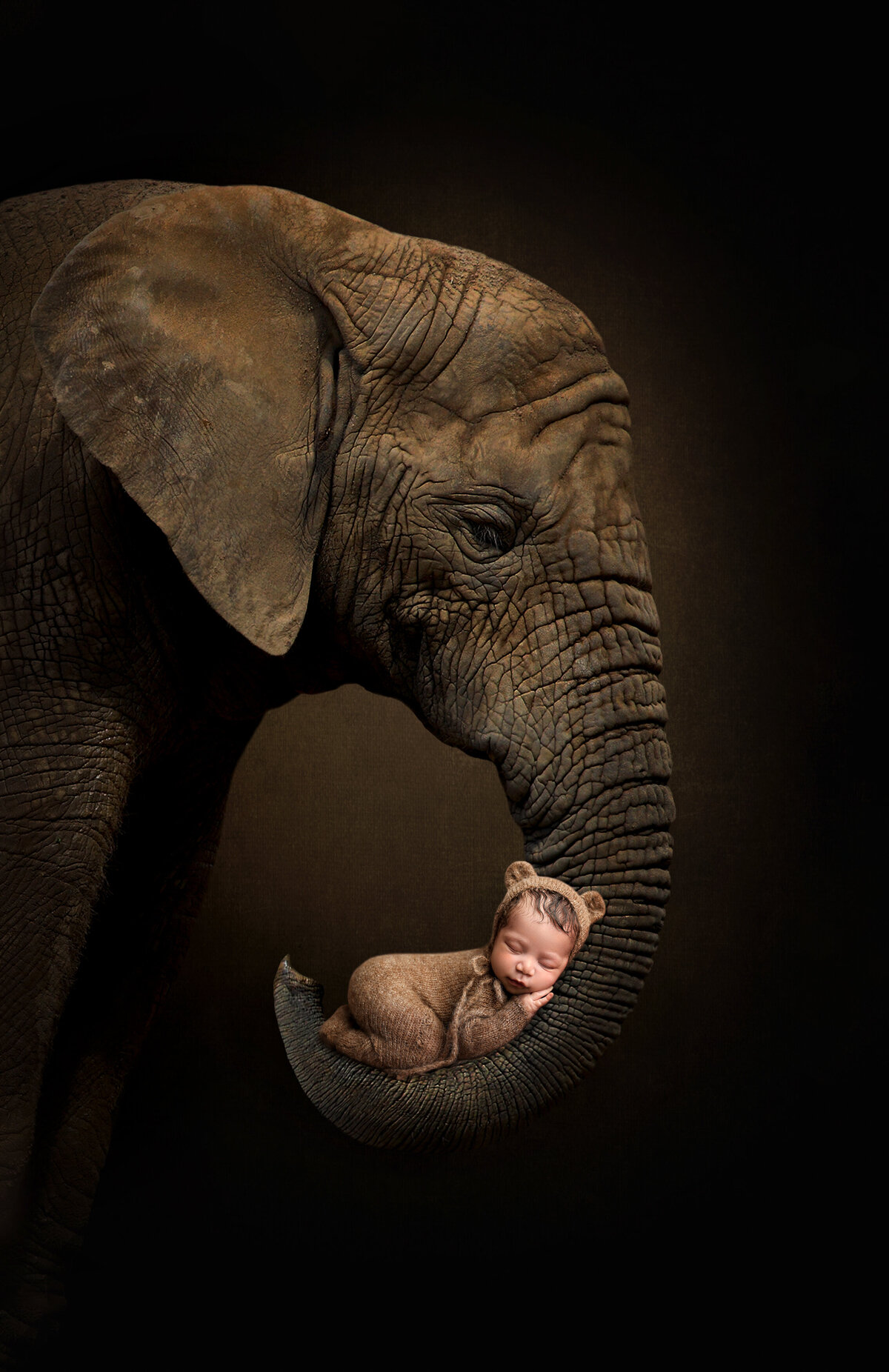 Newborn with Elephant