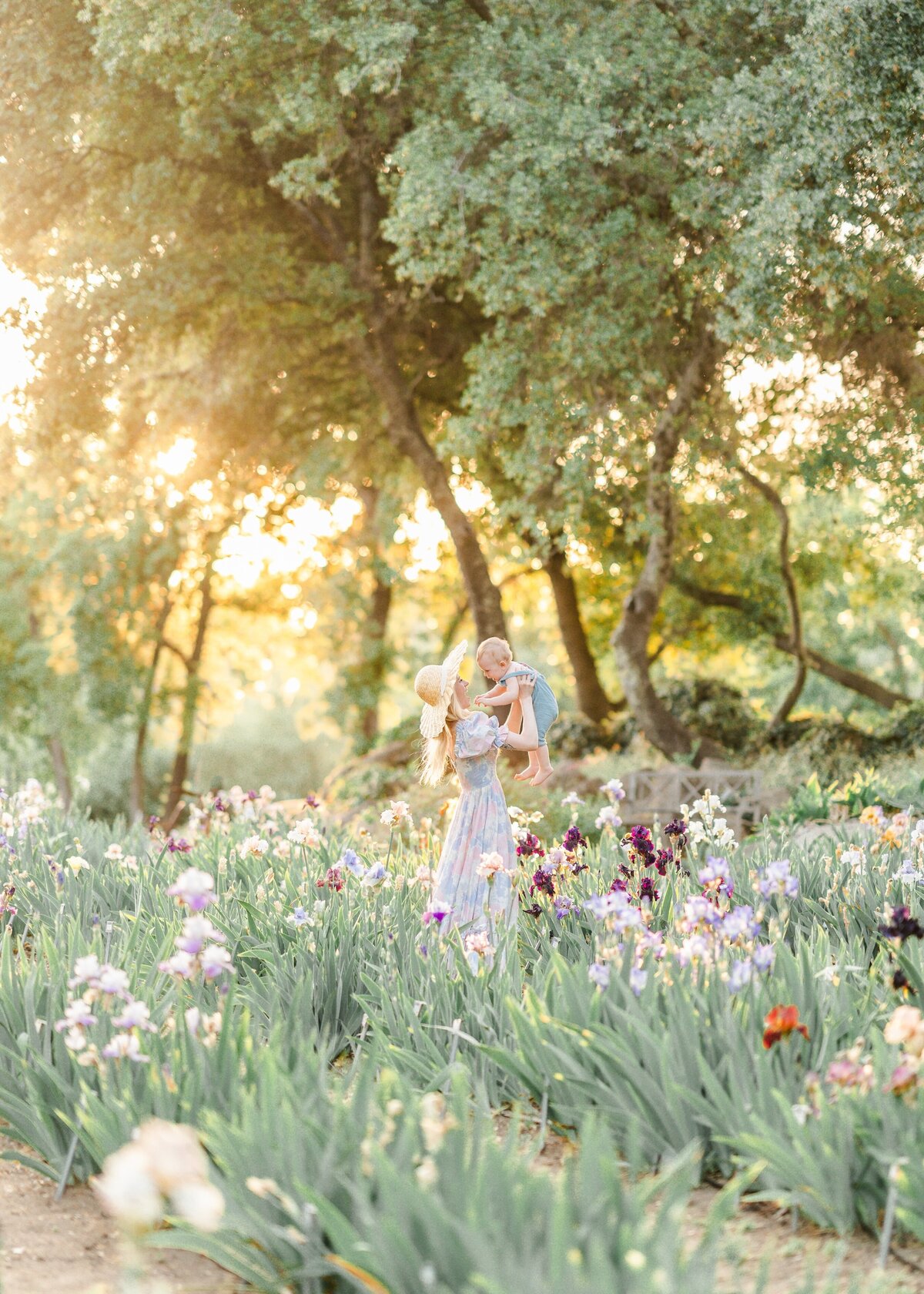 A family session photographed by Bay Area Photographer, Light Livin Photography shows a woman swinging her baby in a field of iris flowers.