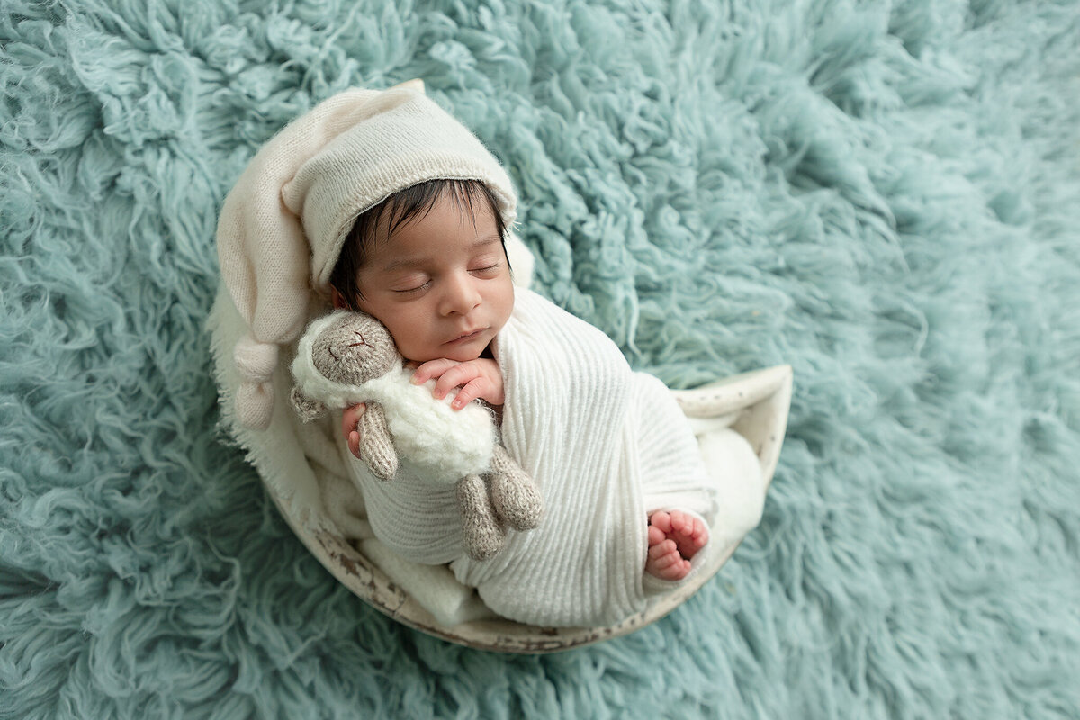 columbus-ohio-newborn-photographer-near-me-baby-boy-swaddled-in-cream-holding-lamb-stuffed-animal-with-light-blue-rug-under