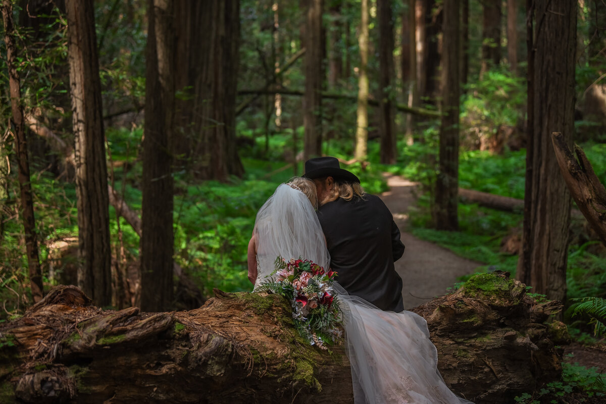 Redway-California-elopement-photographer-Parky's-Pics-Photography-redwoods-elopement-Avenue-of-the-Giants-Pepperwood-California-15.jpg