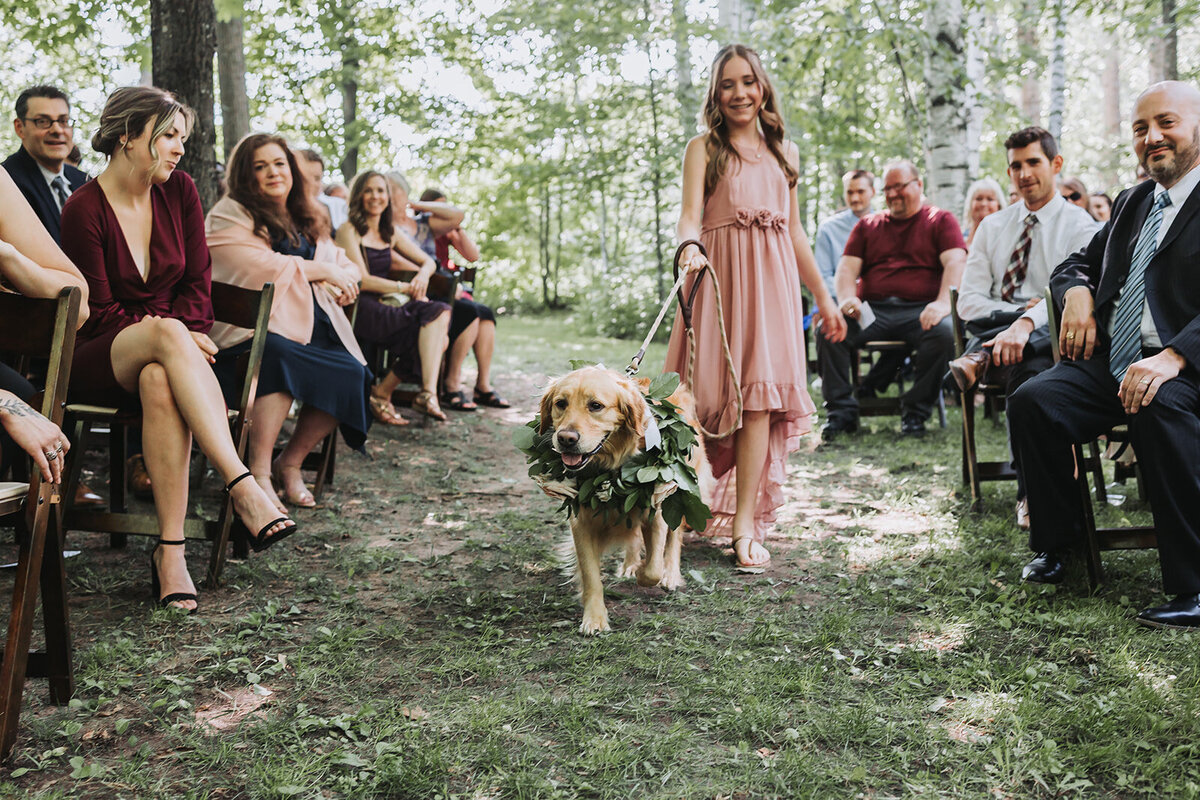 wedding-dog-photographer-Minnesota