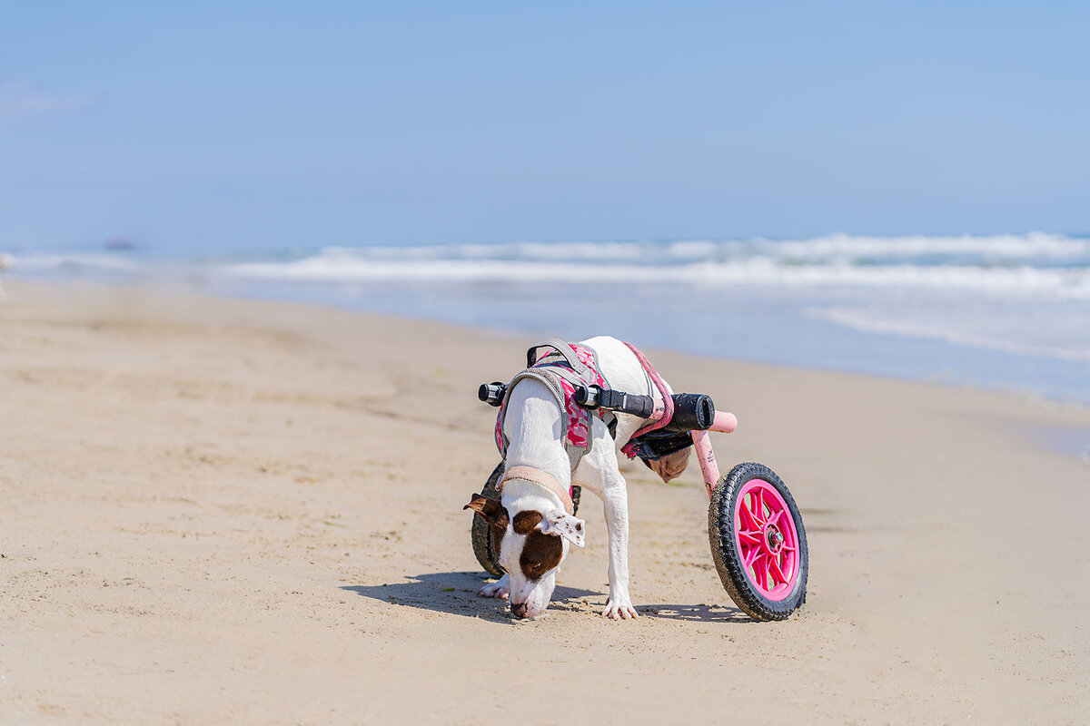 The Unstopables-11_websize