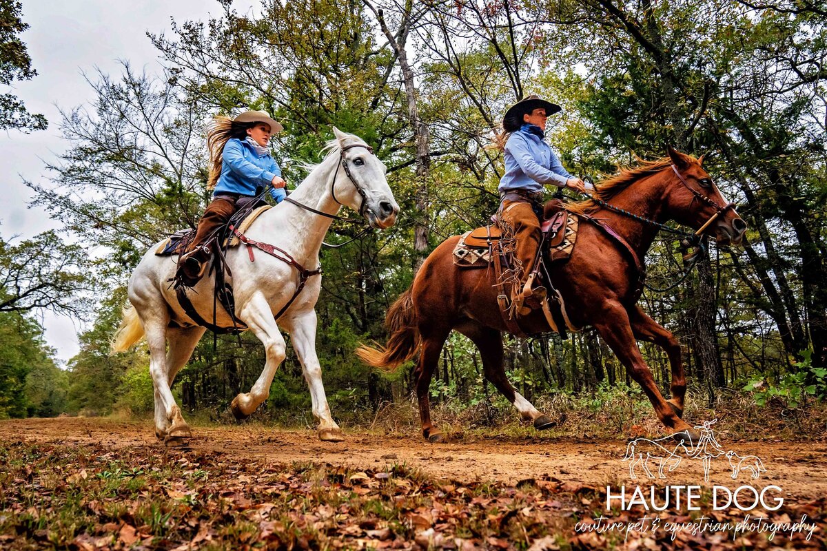 Low, wide-angle view of two female equestrians wearing western attire race a white horse and a chestnut horse down a trail.