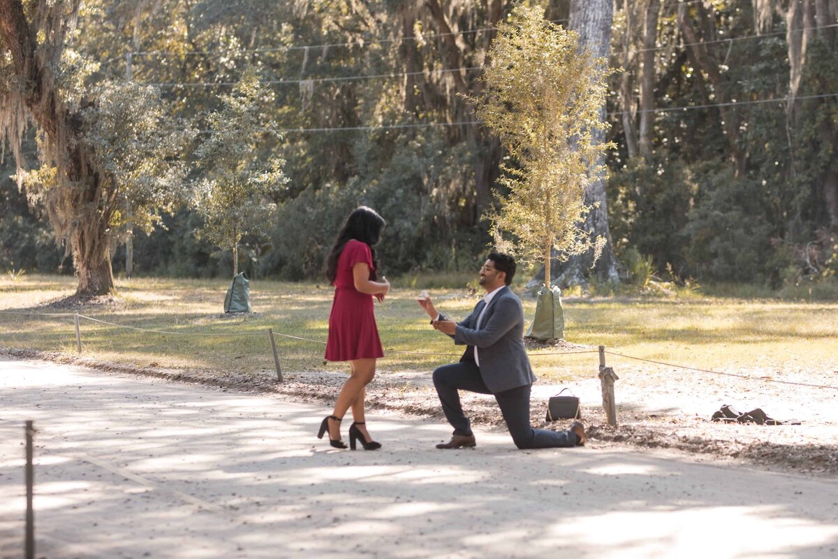 Proposal Photos at Wormsloe Historic Site by Phavy Photography, Savannah engagement photographer