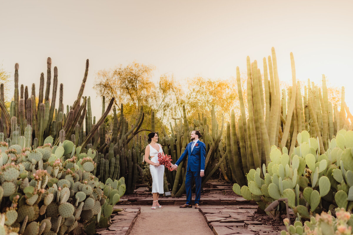 elopement at Desert Botanical Garden in Phoenix