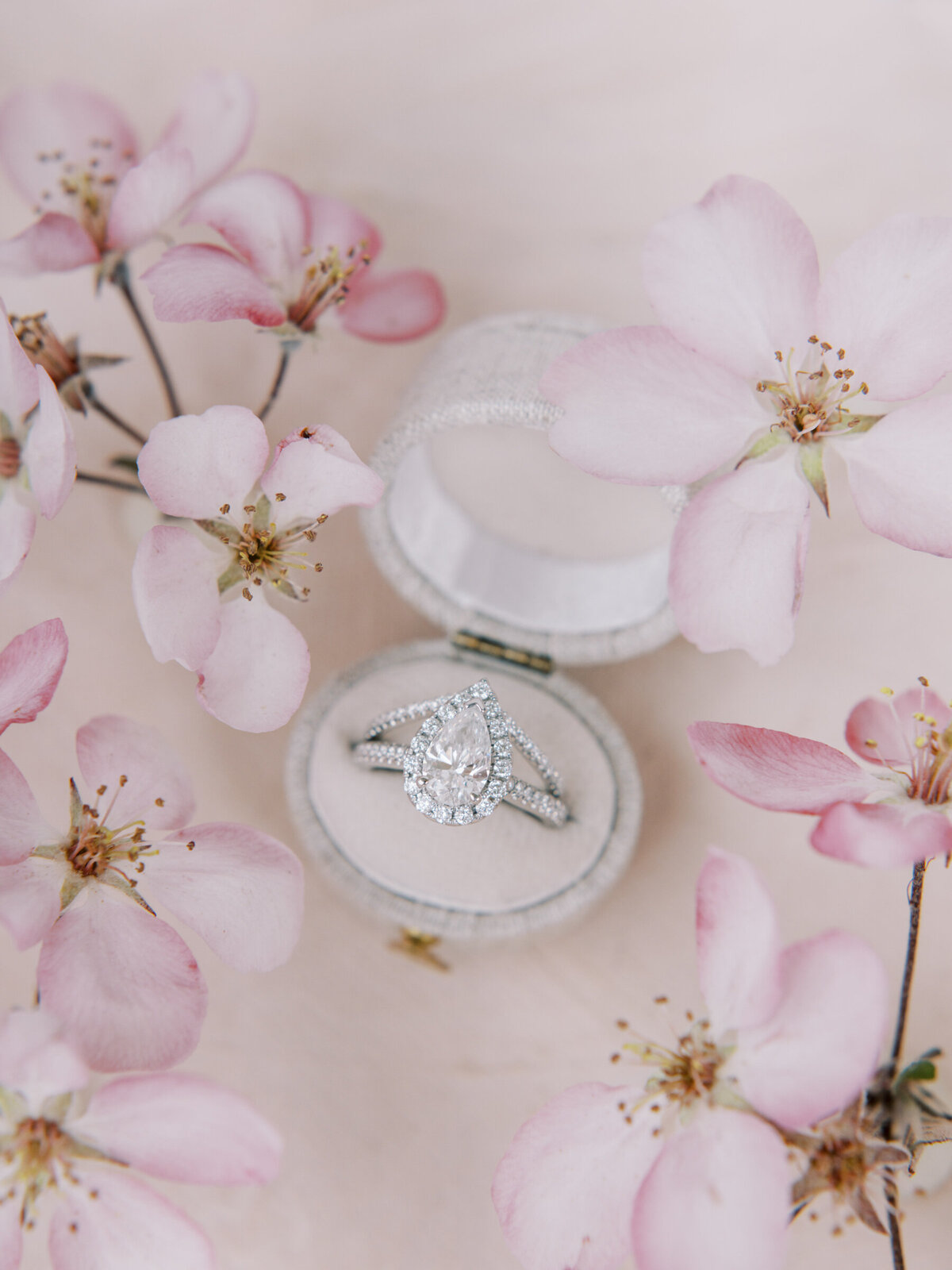 haute-stock-photography-subscription-fleur-collection-final-20