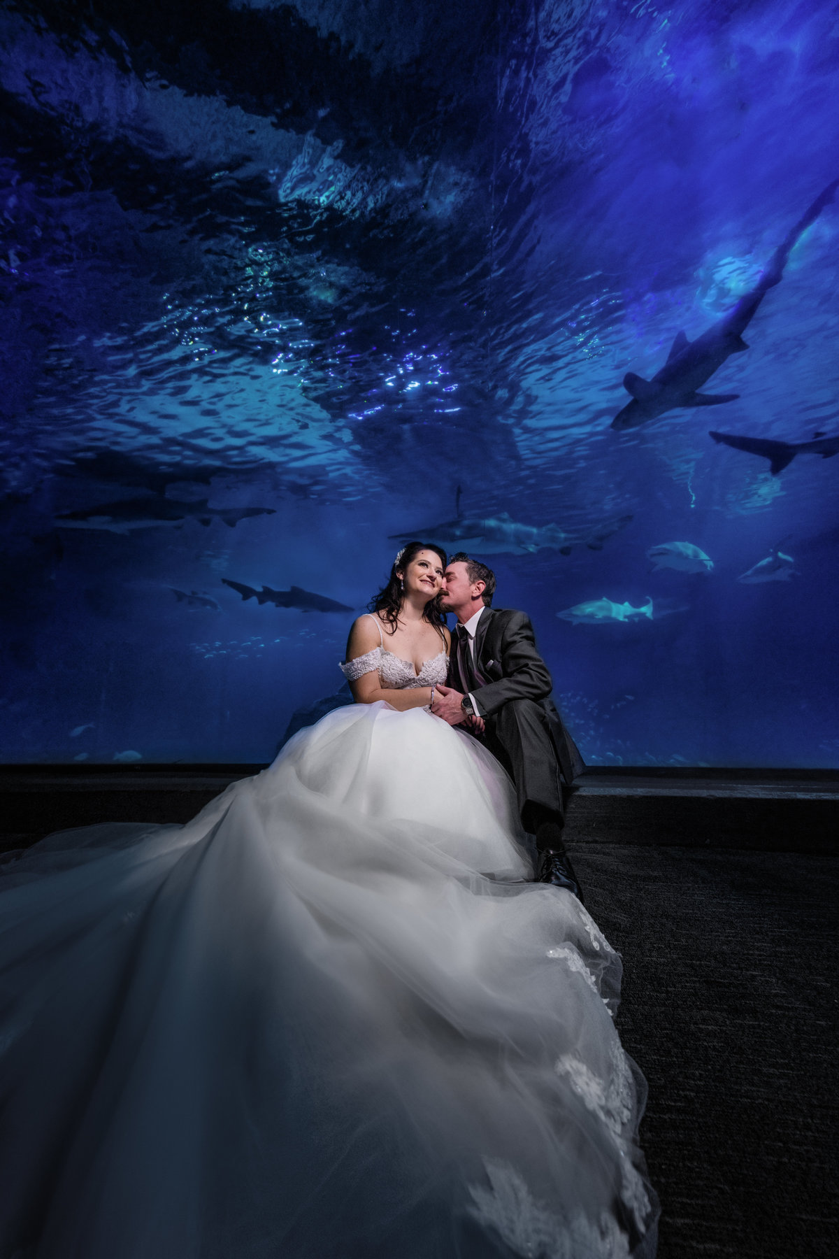 Bride and Groom in the shark tank at aquarium