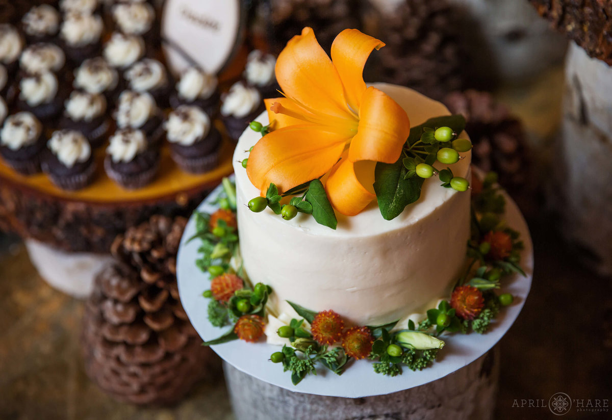 Colorado Wedding photographer pretty cute cake with orange orchid at Wedgewood Weddings Mountain View Ranch in Pine