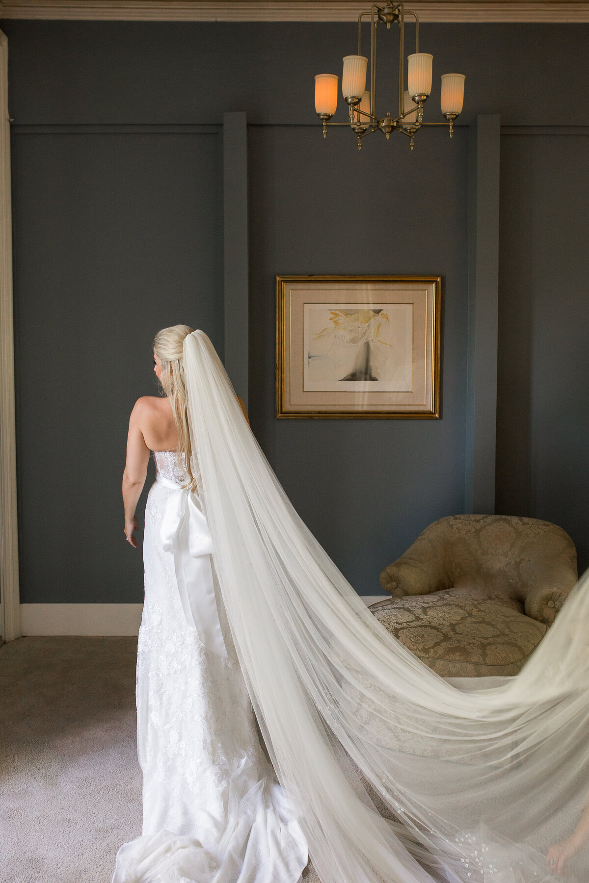 Large Veil Wedding Dress Photo Nashville TN