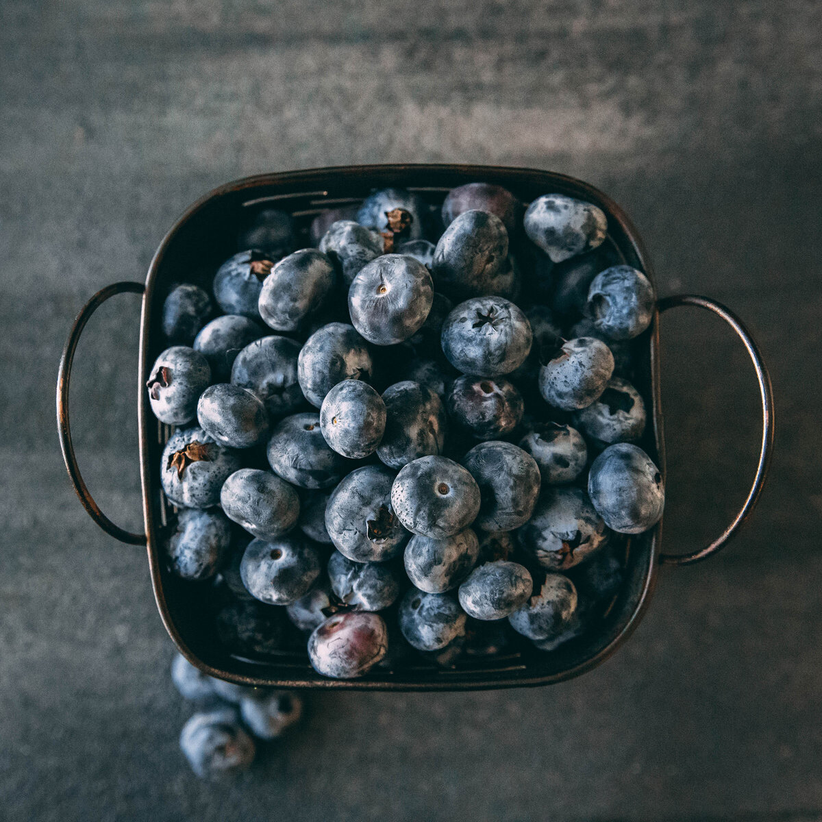 Driscoll's Berries Blueberry Bucket by Nancy Ingersoll in Watsonville, California