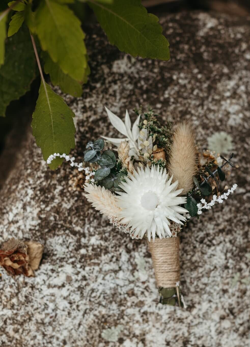 honey-and-the-moon-florals (26)