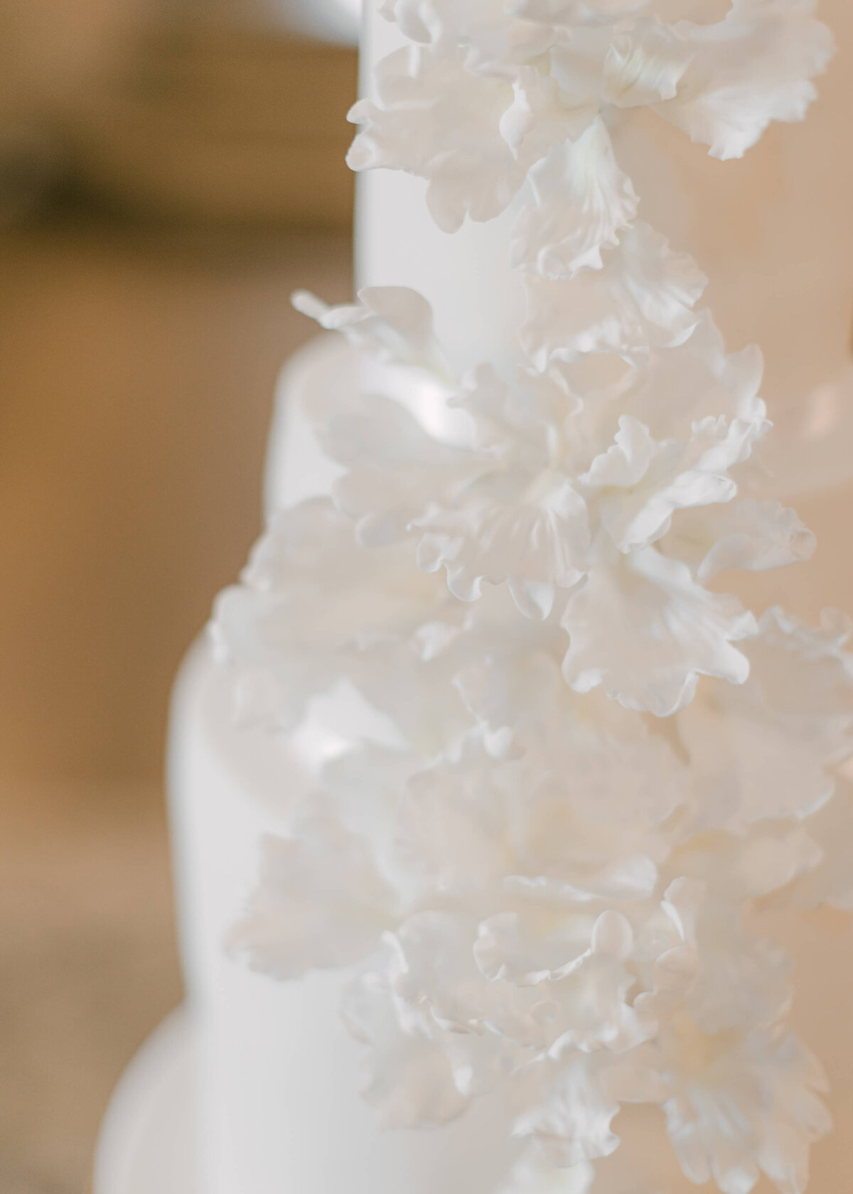 chloe-winstanley-weddings-wedding-cake-white-florals