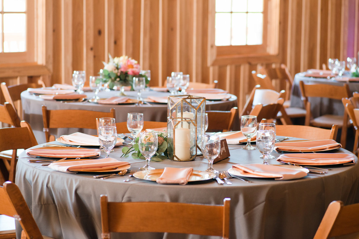 Blush Wedding at The Springs in Georgetown-205