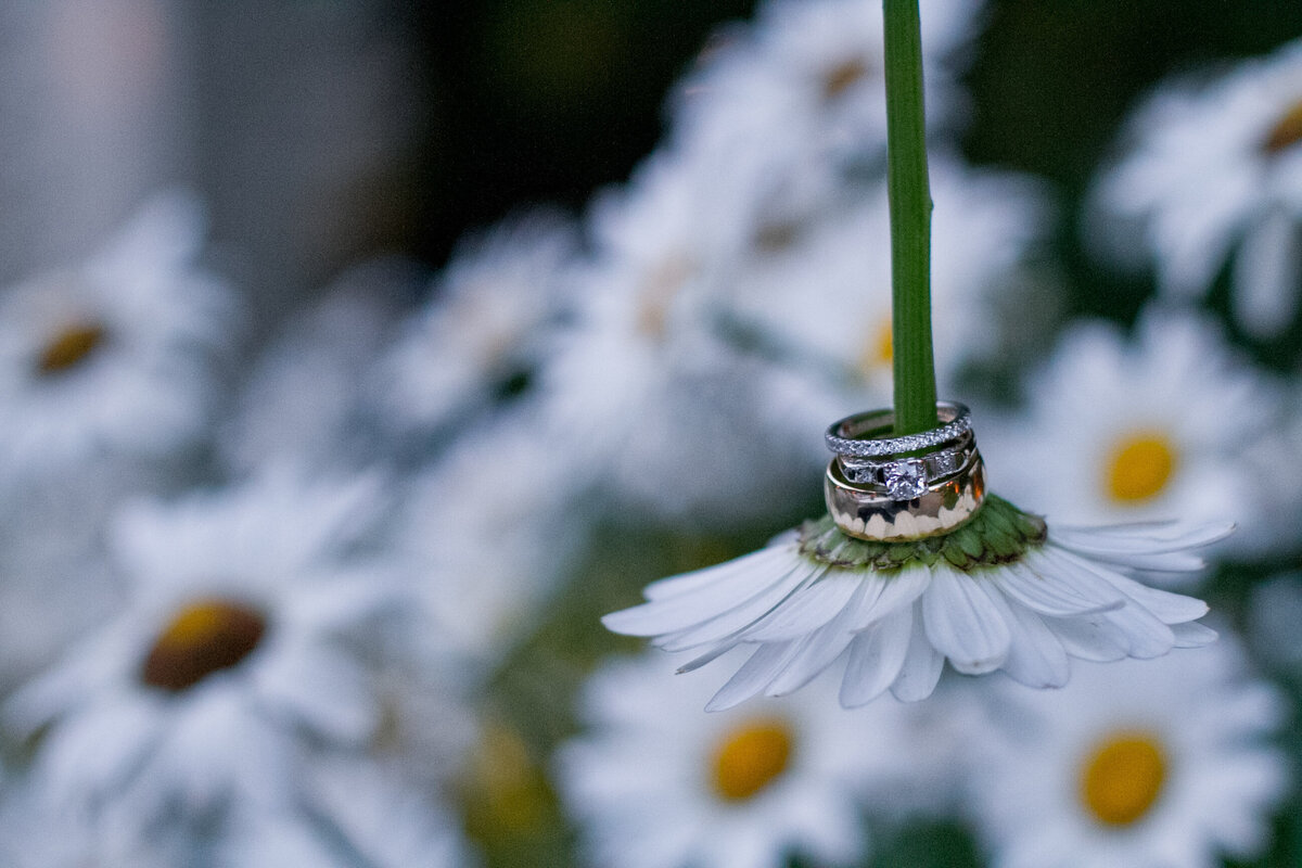 njeri-bishota-lauren-ashley-wedding-rings-daisy-flowers-creative-photography