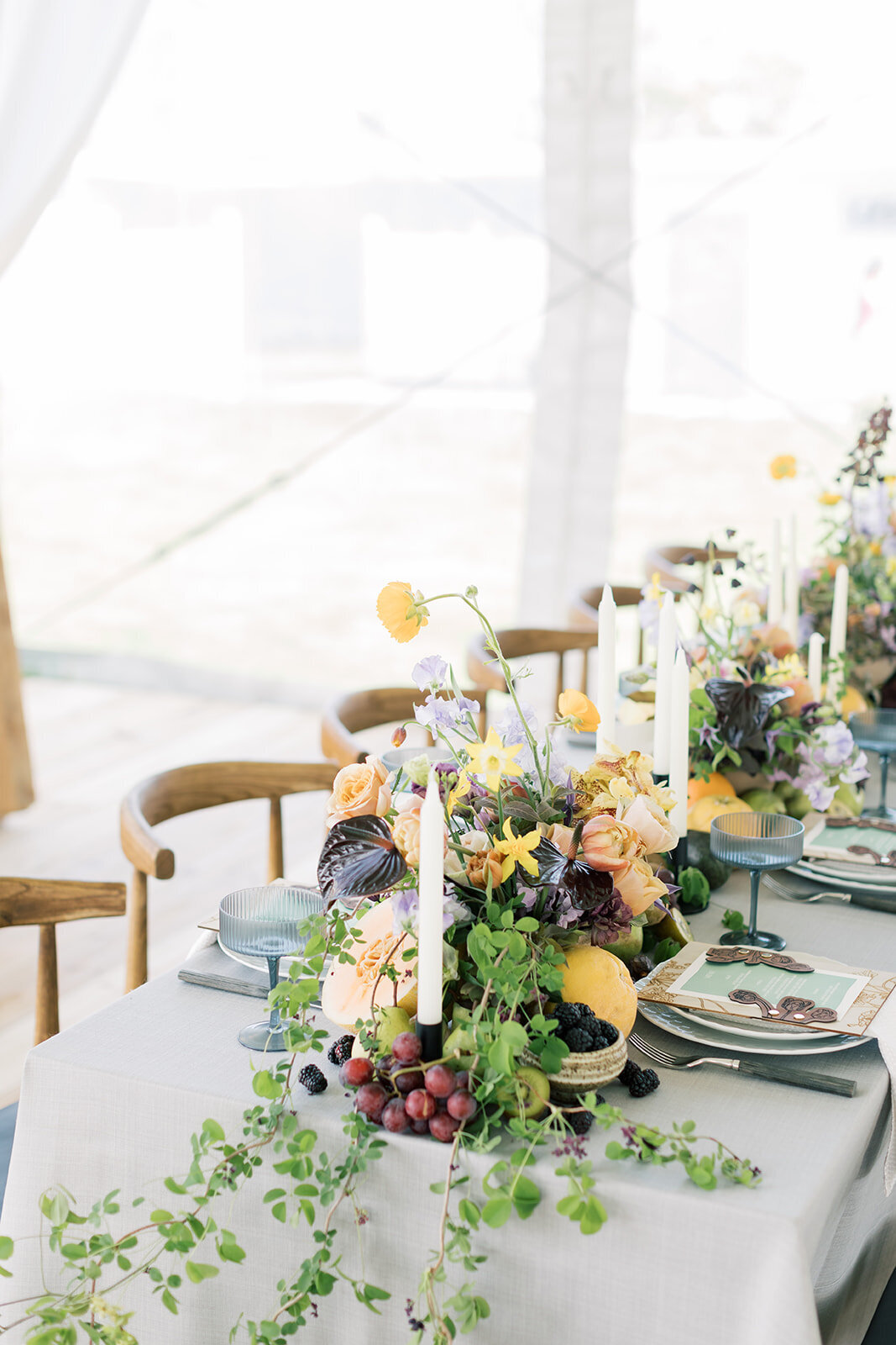 Cora Jane Photography-Love Lab 2024-113