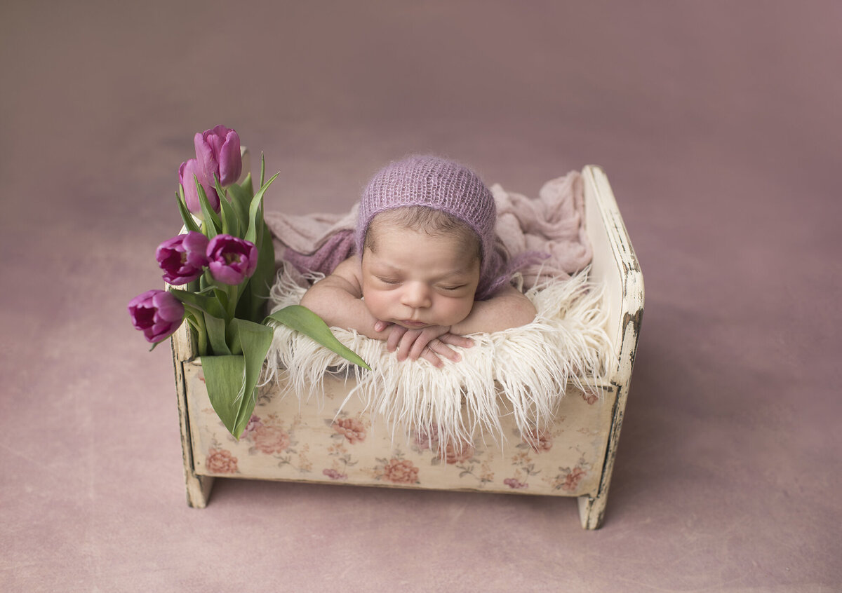 infant baby girl in basket with white fur and a rose flower in basket with her