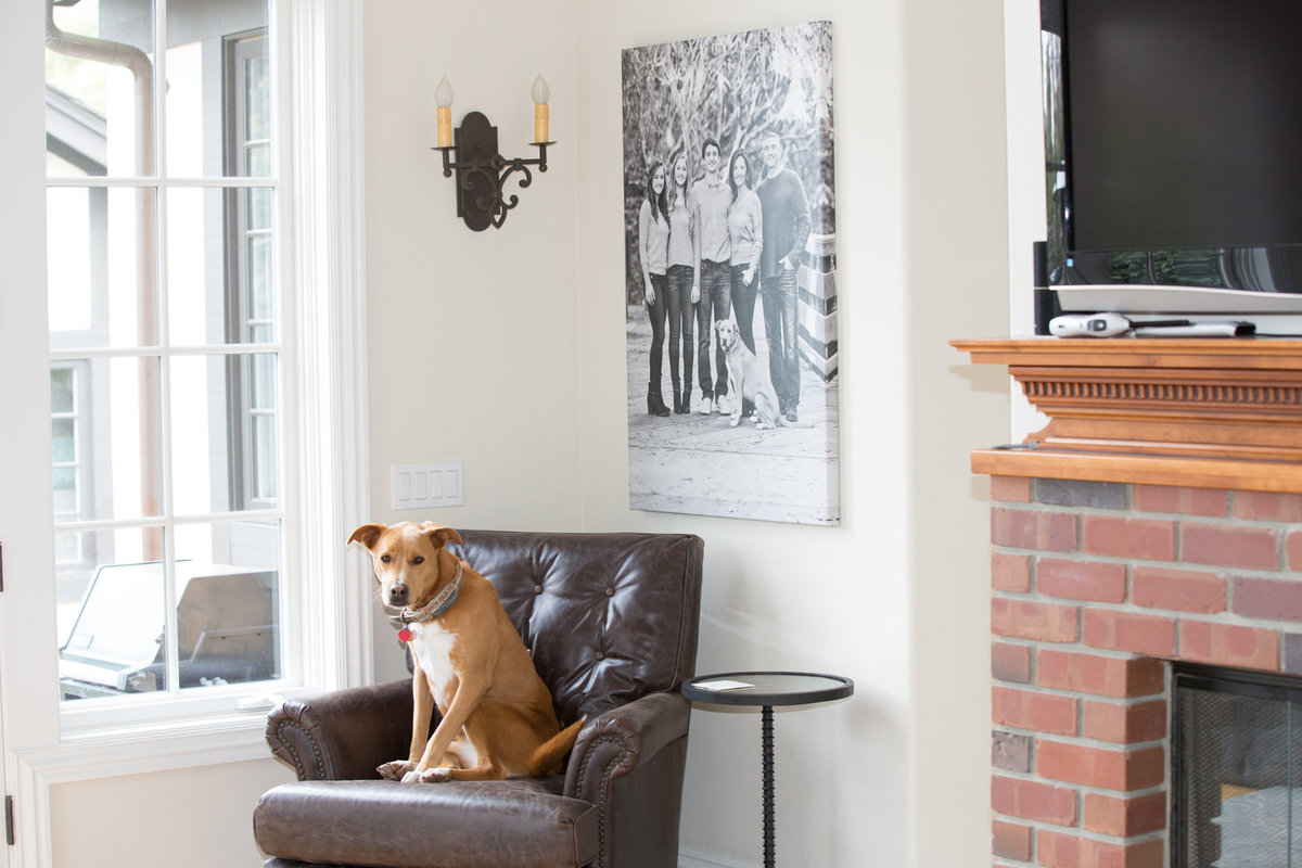 Wall Art of Family and Dog Photography