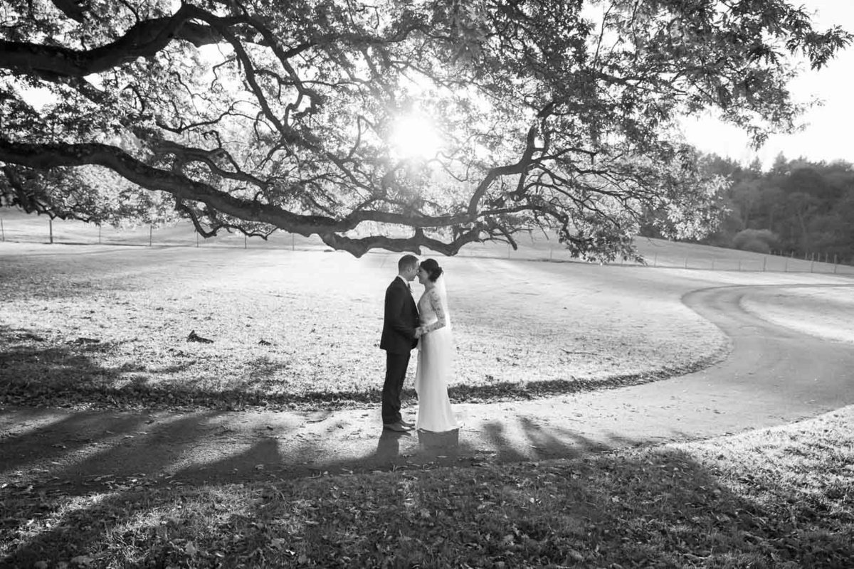 Autumnal Wedding at St Audries Park Somerset