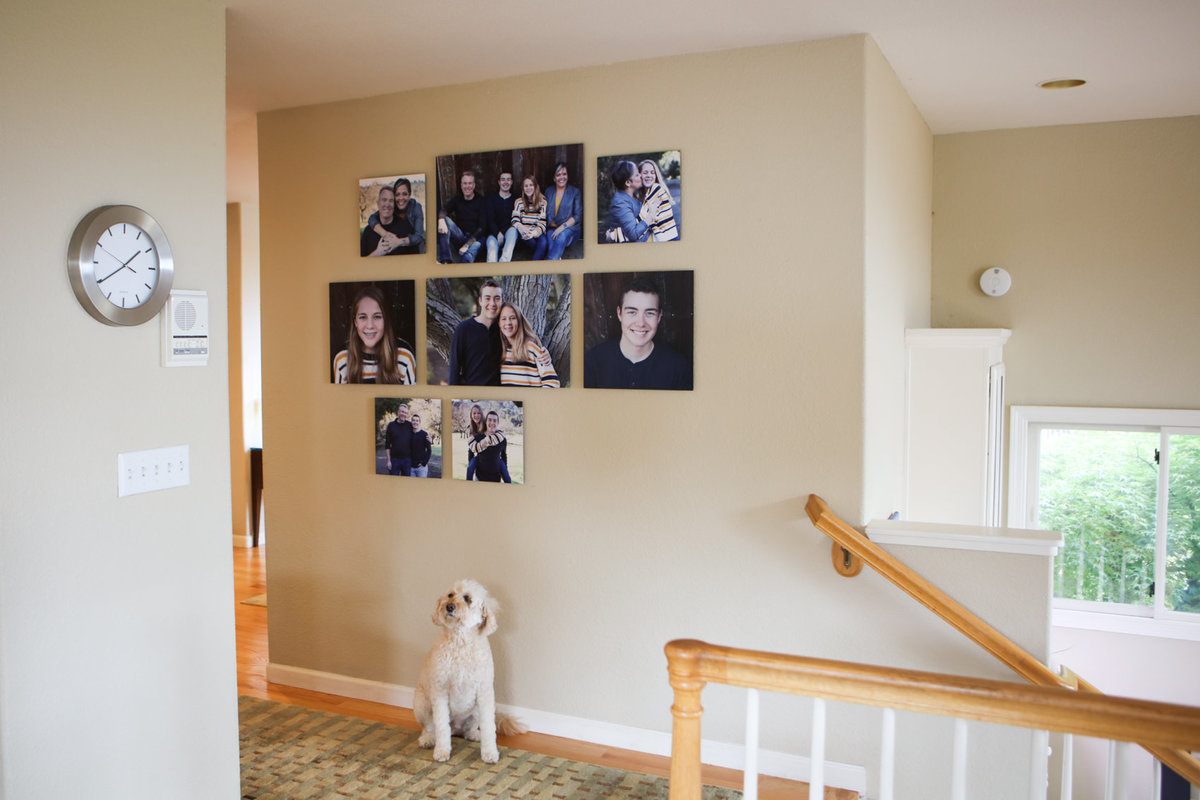 Family photography installation, finished product