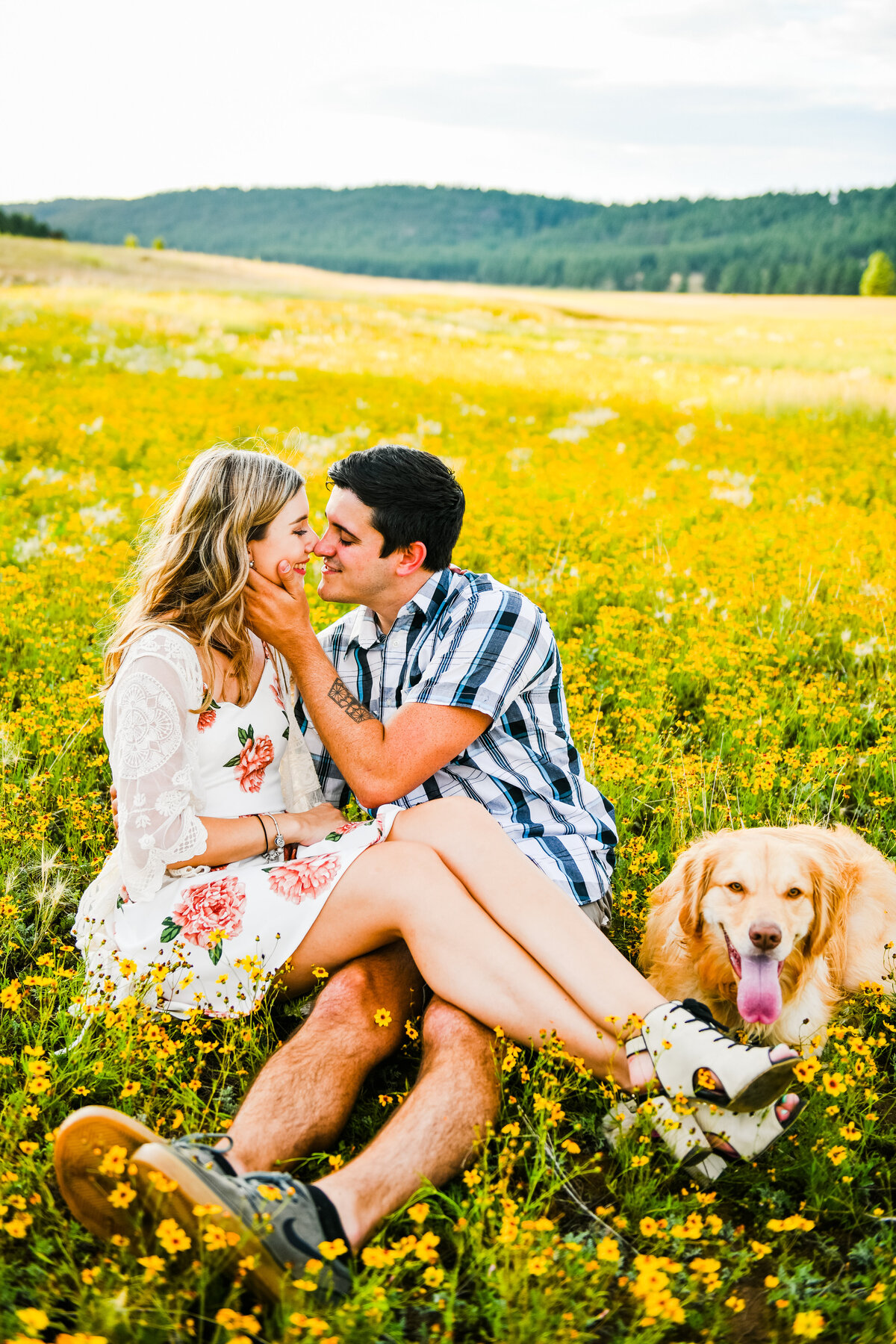 Couple about to kiss golden dog retriever sunflowers summer flagstaff Lake Mary