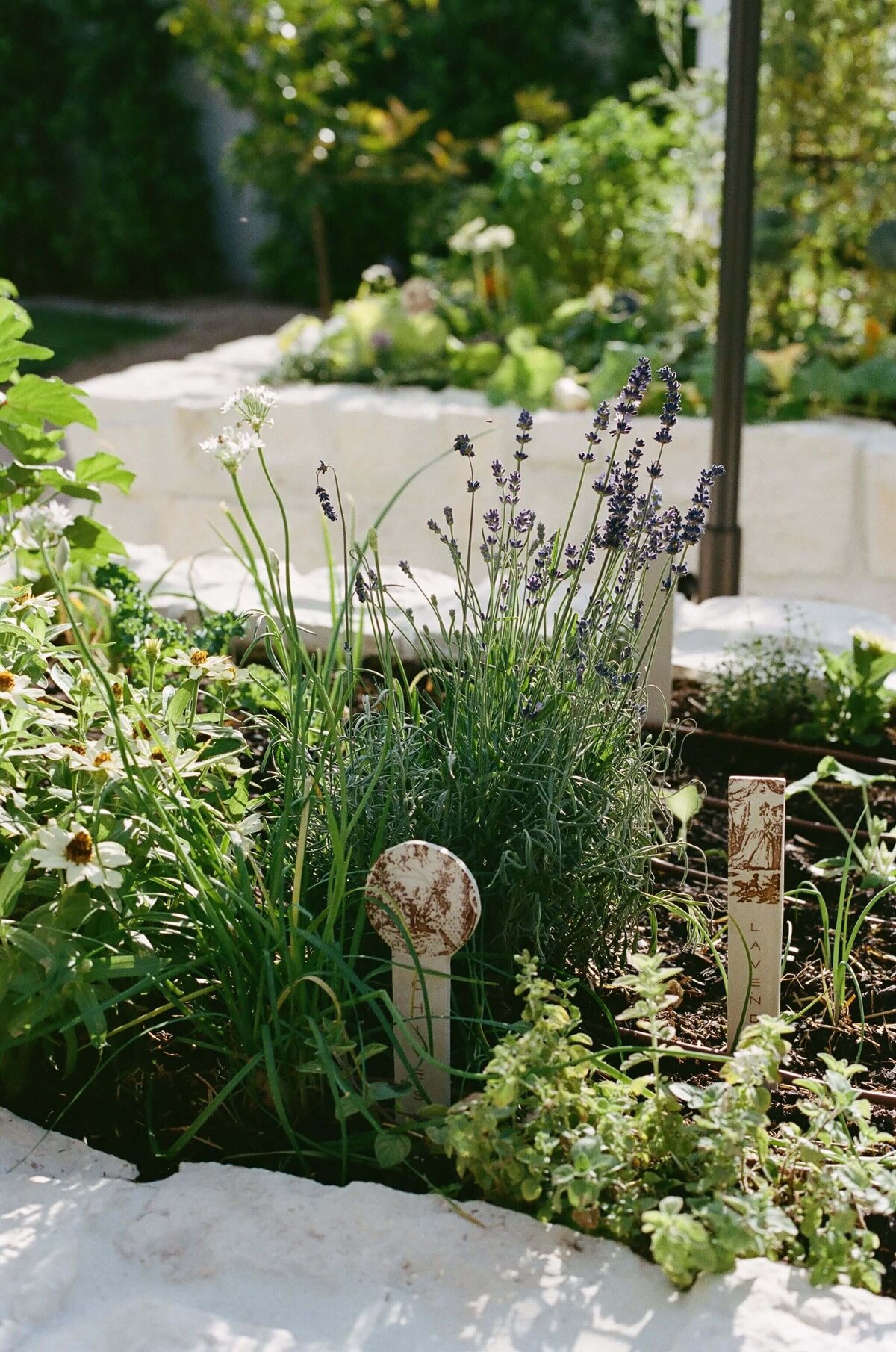 Lavender-Stone-Raised-Garden-Hacienda