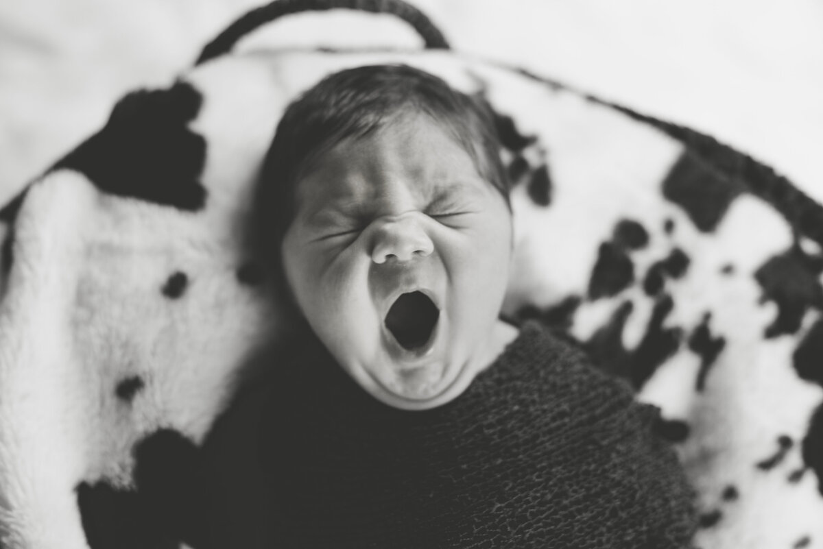 Beautiful Mississippi newborn photography: newborn boy yawns in a basket with a cowhide blanket