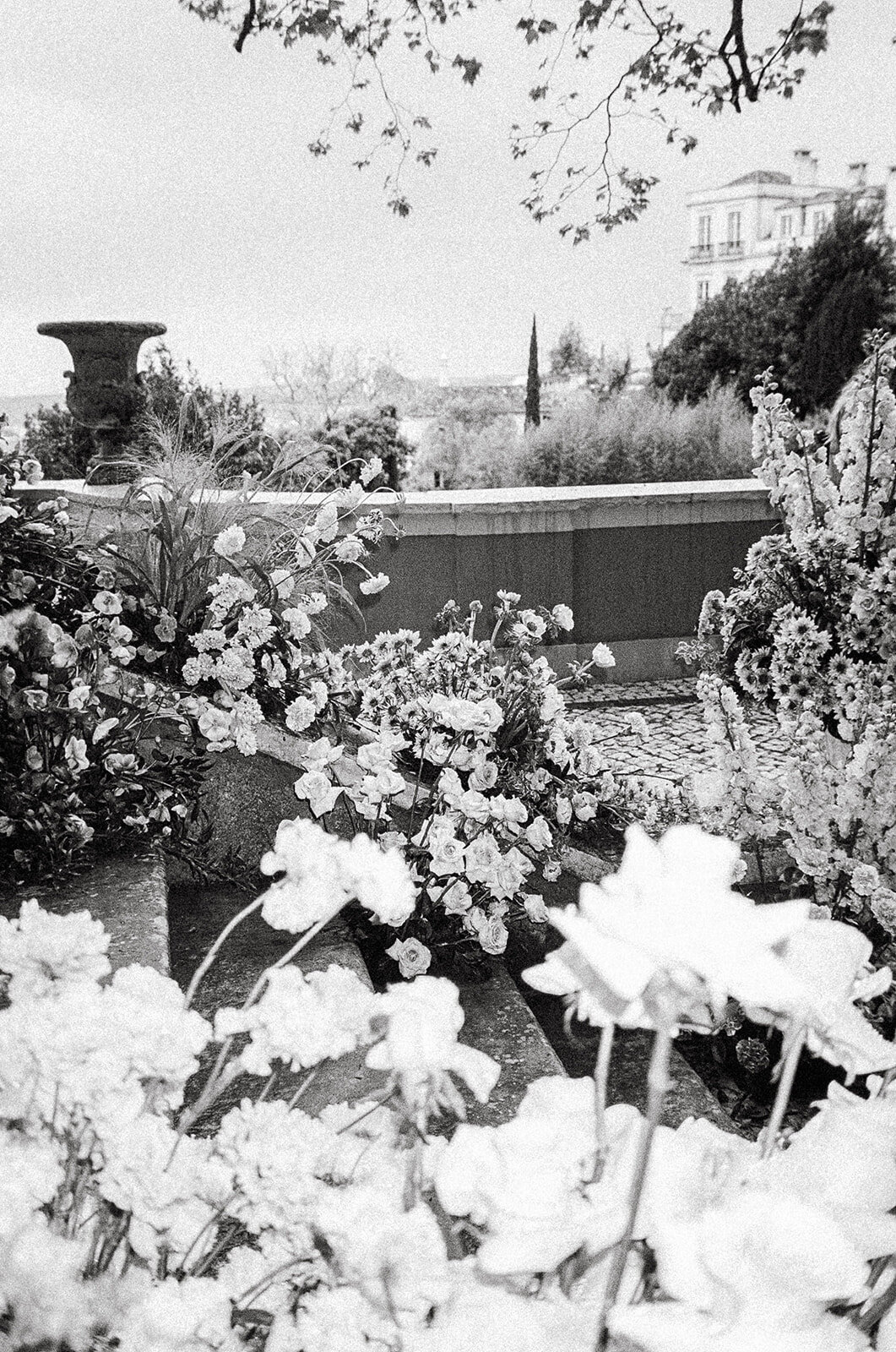 untitled-17