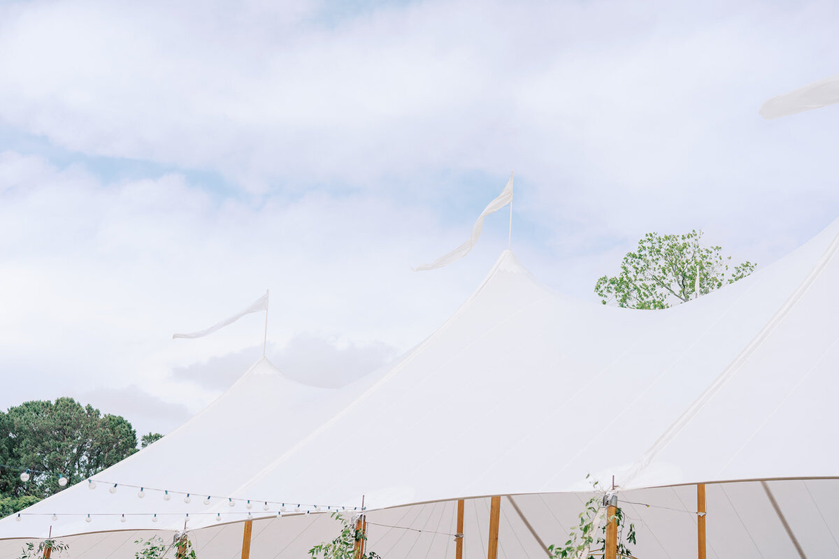 c&d-weddingsneak-77