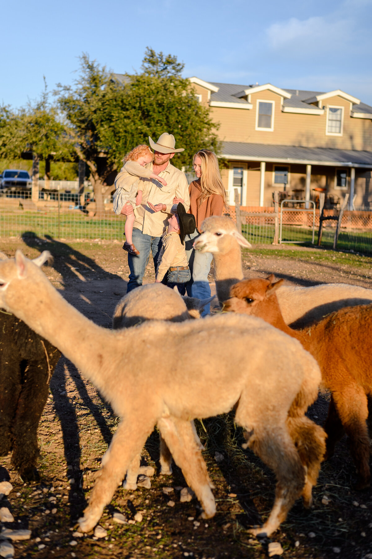 Sundance Hill Farm Branding + Austin TX Photographer 46