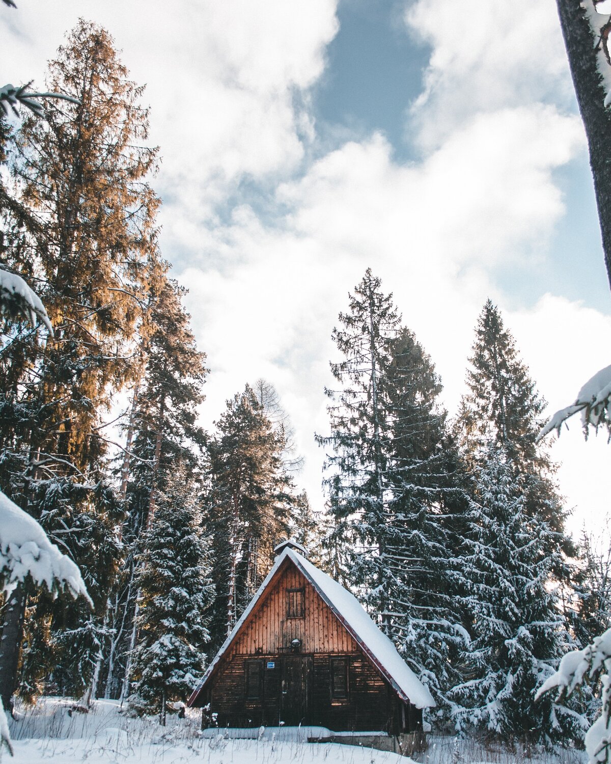 pexels-v-o-y-t-a-3786605