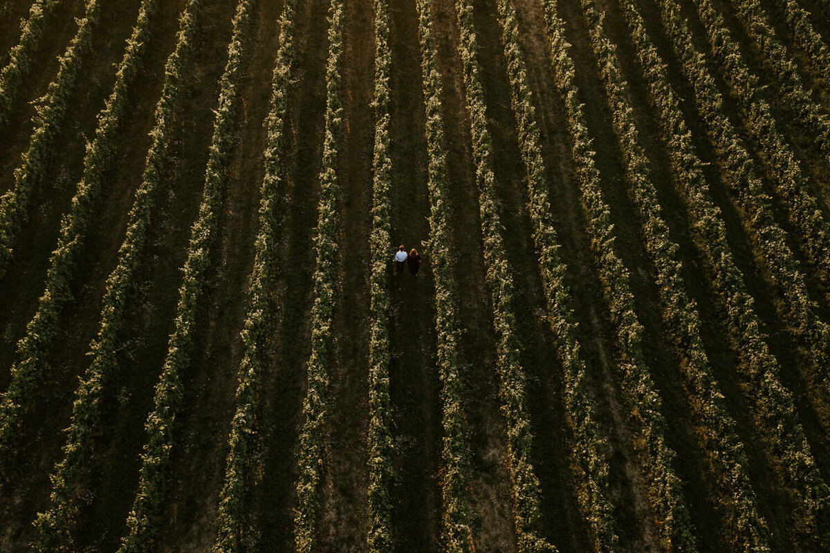 Couple session in Montepulciano over vineyard with drone