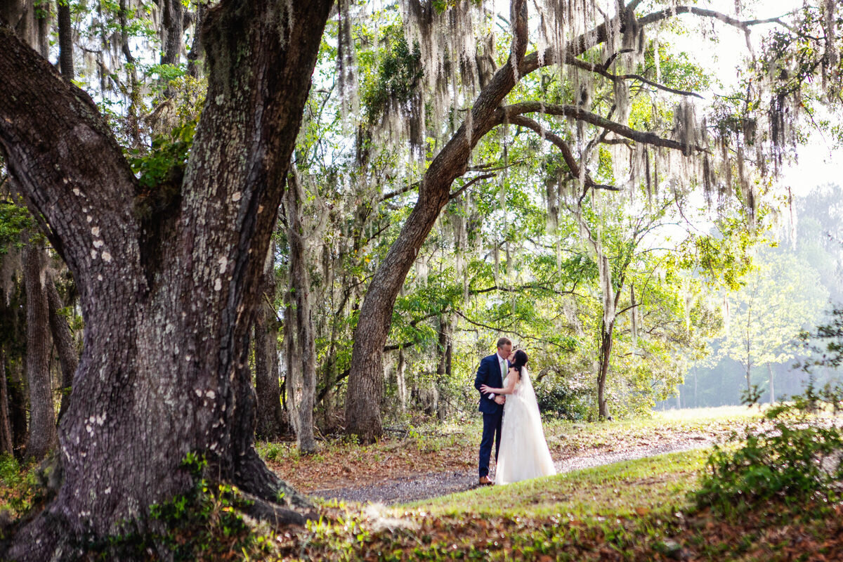 Bride and groom kiss under the oak trees in Wadmalaw Island Charleston Wedding Photographer