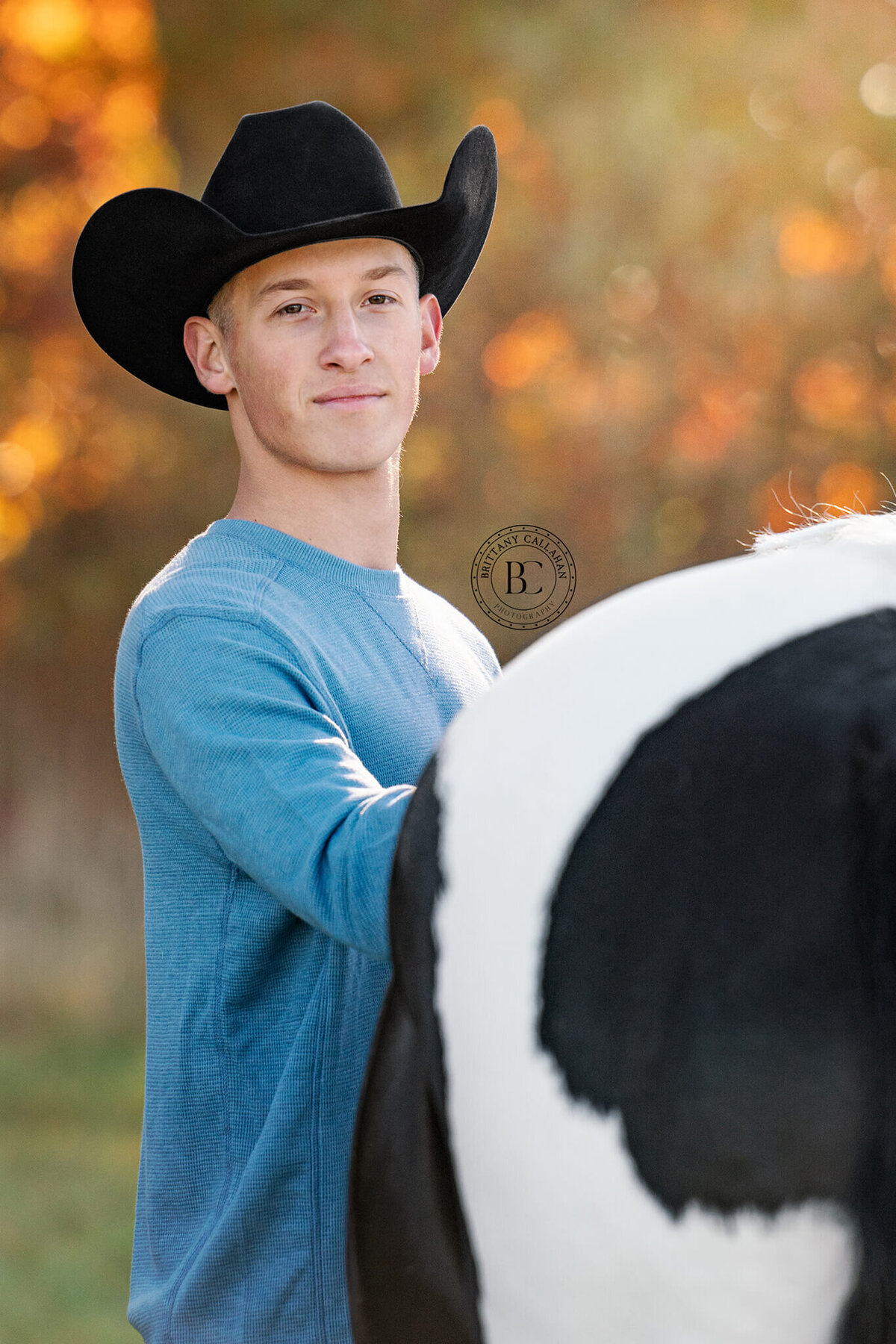 Southern-illinois-horse-photographer-#44