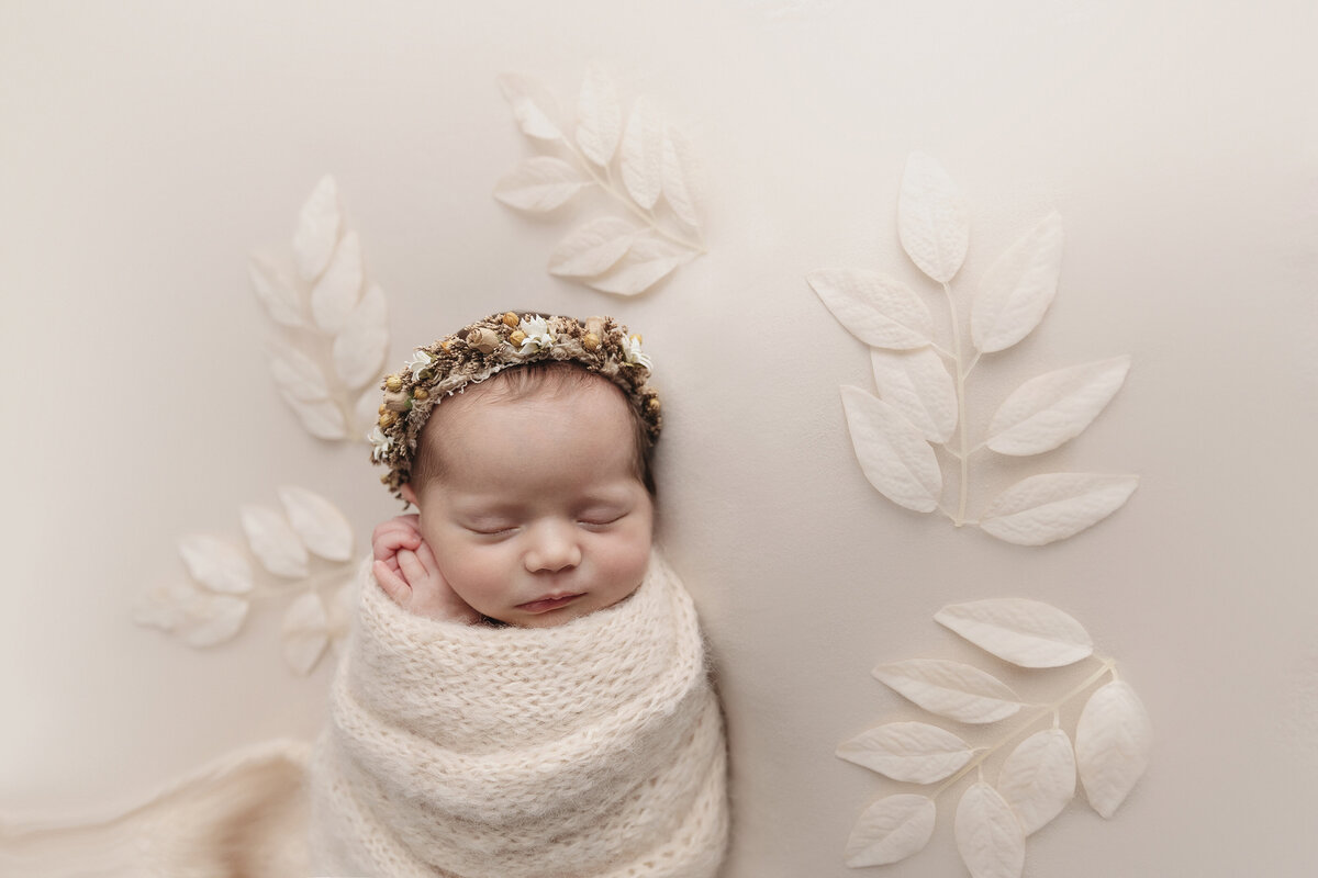 Pittsburgh newborn session with ferns.