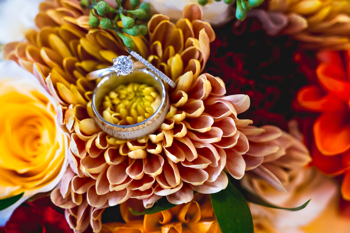 Z72_3444-Edit
