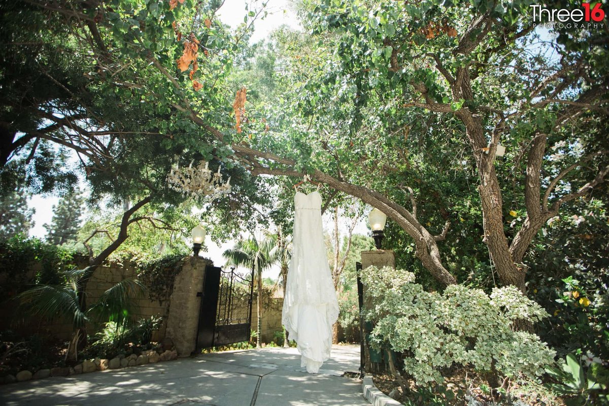 Bride's Wedding Gown hangs from a tree